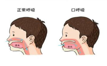 呼吸科年度工作计划6篇