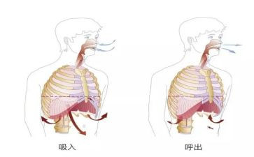 呼吸内科心内科的自我鉴定通用7篇