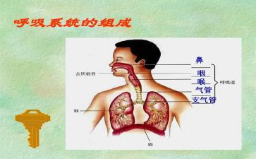 呼吸心内科出科自我鉴定7篇