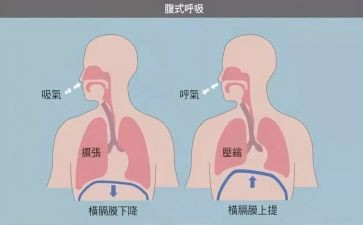 在呼吸科护士自我鉴定7篇