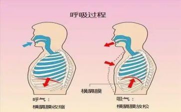 呼吸进修自我鉴定7篇
