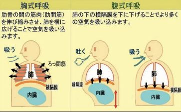 2023年呼吸科工作计划7篇