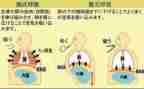 呼吸内科2024年工作总结8篇