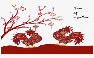 小鸡小鸡小班教案8篇