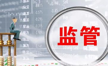 监管员自我评价6篇