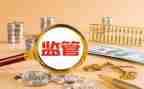 监管员述职报告6篇