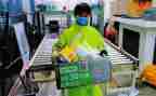 2024年拣货员工作总结通用5篇