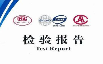 检验类试用期工作总结5篇