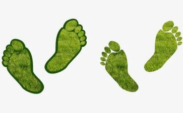 大脚印儿读后感6篇