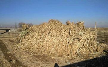 秸秆购销合同5篇