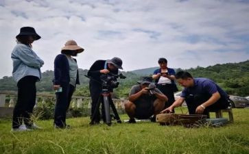 《路》纪录片观后感8篇