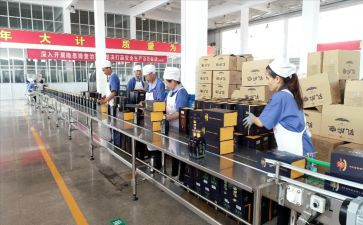 经发工作计划优质5篇