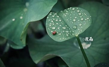 幼儿园小班节气教案8篇