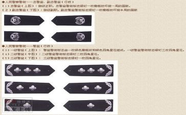 进警衔自我鉴定8篇
