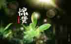 小班惊蛰教案5篇