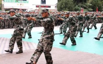 军训自我鉴定模板8篇