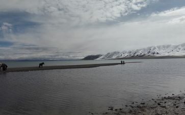 看见,读后感推荐6篇