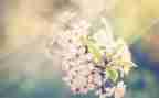 看图写话年级作文5篇