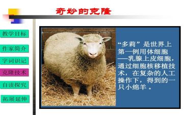 克隆观后感6篇