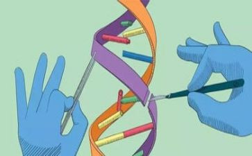 六上科学工作计划推荐7篇