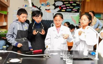 科学课教案模板6篇