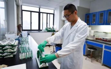科研岗工作计划模板8篇