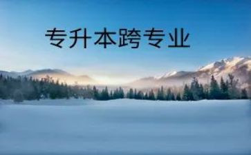 跨专业申请书模板7篇