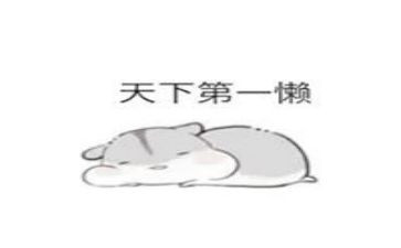 懒小猪音乐教案6篇