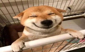 音乐教师研修培训总结8篇