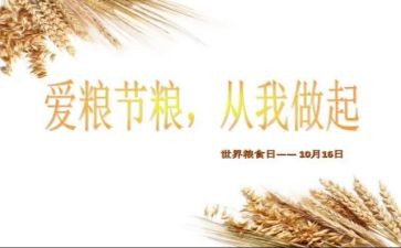 爱粮食节活动总结模板6篇