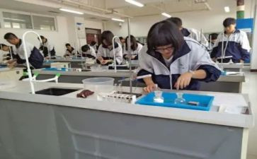 理化验室工作总结5篇
