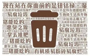 垃圾分类日活动总结报告8篇
