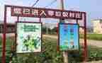 大班垃圾要分类教案参考6篇