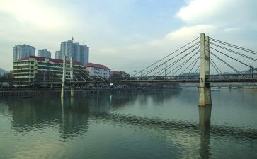 《柳林风声》读书心得6篇