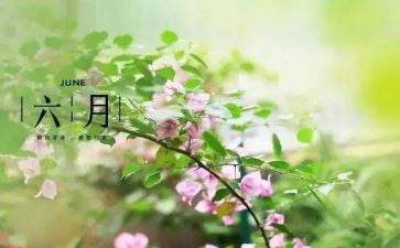 六月份月工作总结优秀8篇