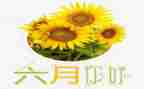 六月作文7篇