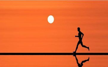 努力的优秀作文模板6篇