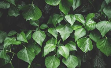 绿化工年度考核个人总结5篇