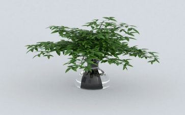 绿化合同通用5篇