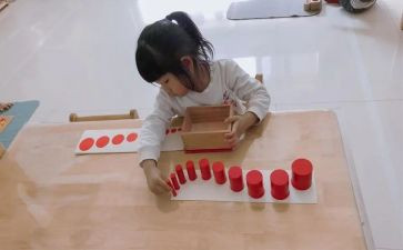 蒙氏教师月总结模板6篇