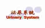 在泌尿外科的自我鉴定7篇
