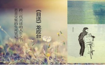 《目送》读书心得最新8篇