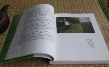 《目送》读书心得优质7篇
