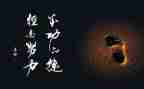我成功了演讲稿精选5篇