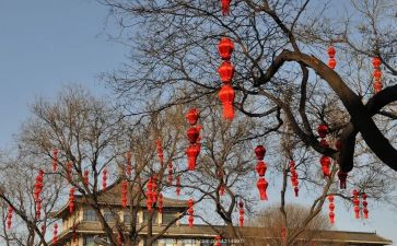 2024年我家的年味作文精选8篇