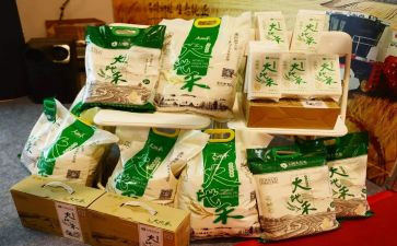 农产品质量检测工作总结7篇