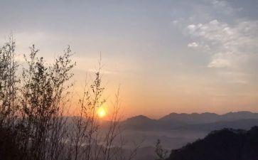 盼读后感作文500字优质6篇