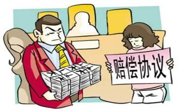 赔偿协议书合同8篇