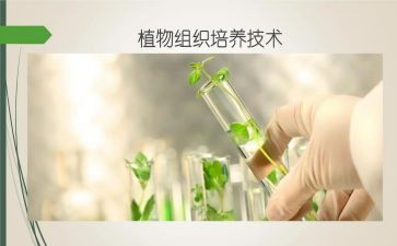 培养工作计划5篇