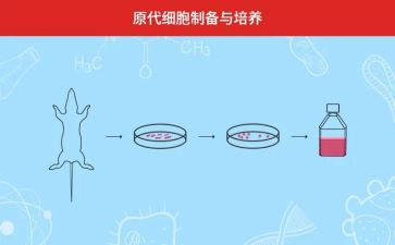 青教培养工作总结5篇